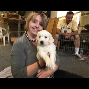 Meet your Posher, Janet